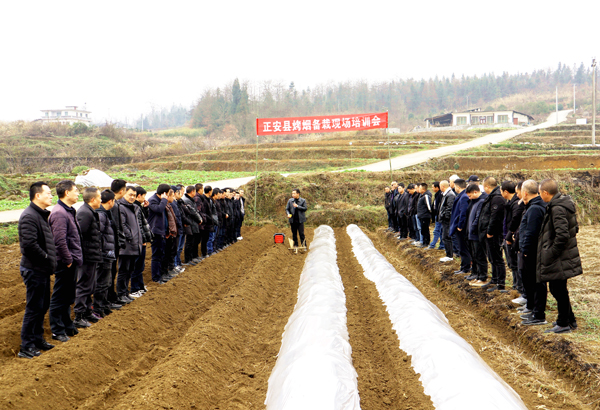 乡村振兴贵州系列报道之九十二