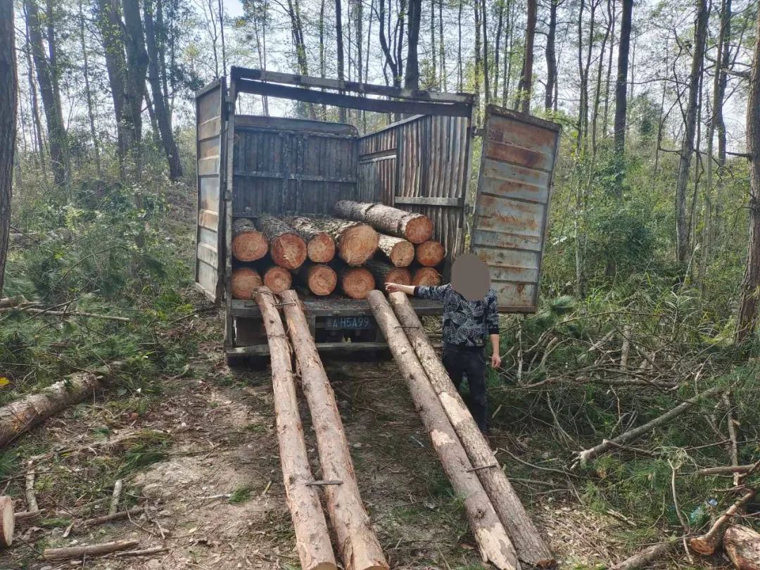 守护绿水青山 贵州惠水公安在行动!