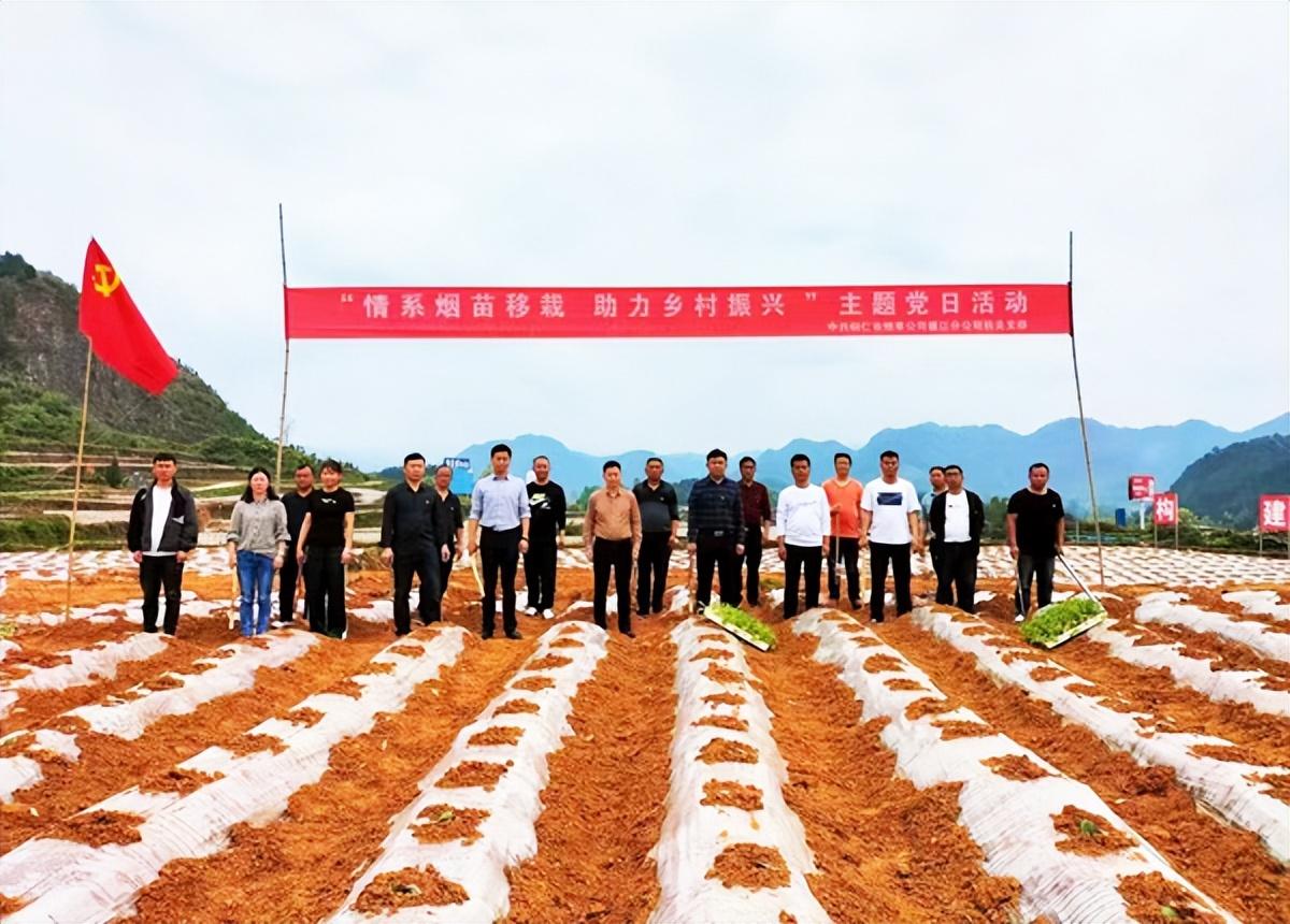 多彩贵州 党建之光系列报道之三十八