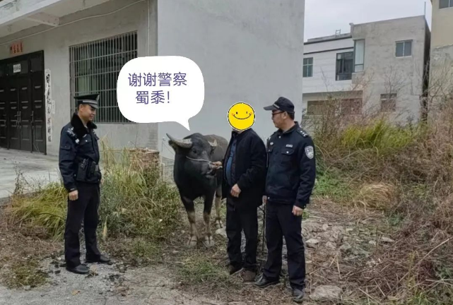 “警官，我的牛丢了!”贵州惠水公安“寻牛记”