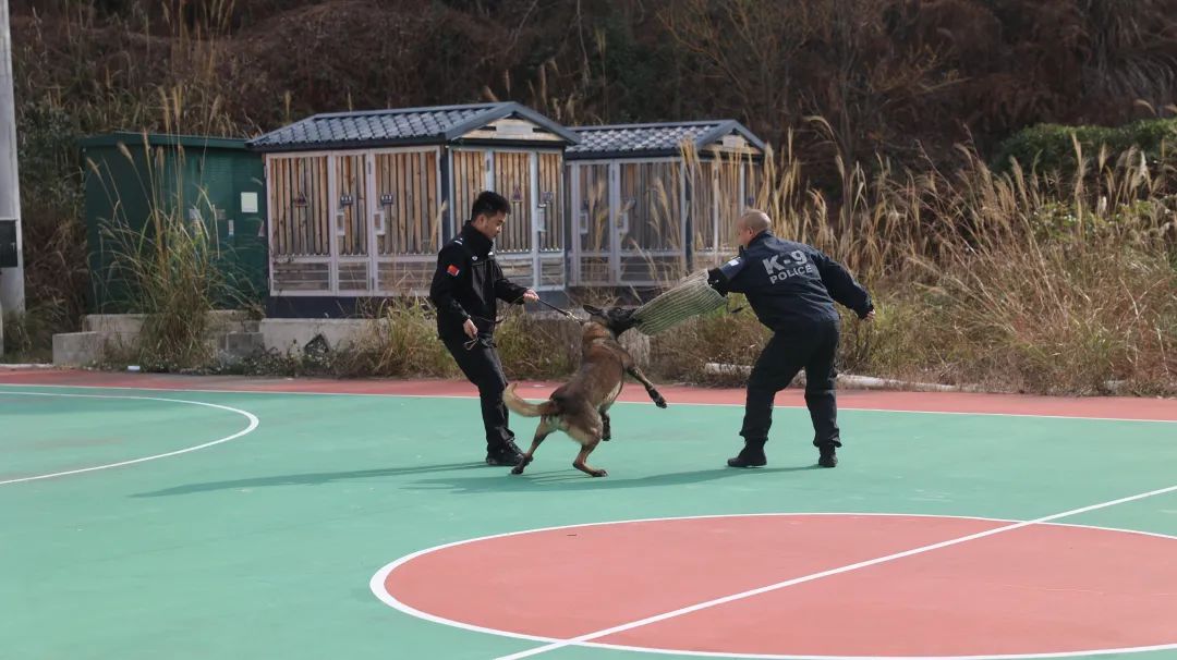 黔山田园梦 惠水好花红 平安守护人系列报道之二百七十四