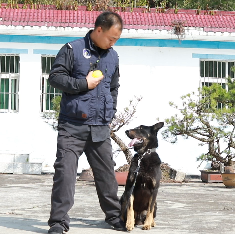 黔山田园梦 惠水好花红 平安守护人系列报道之二百七十四