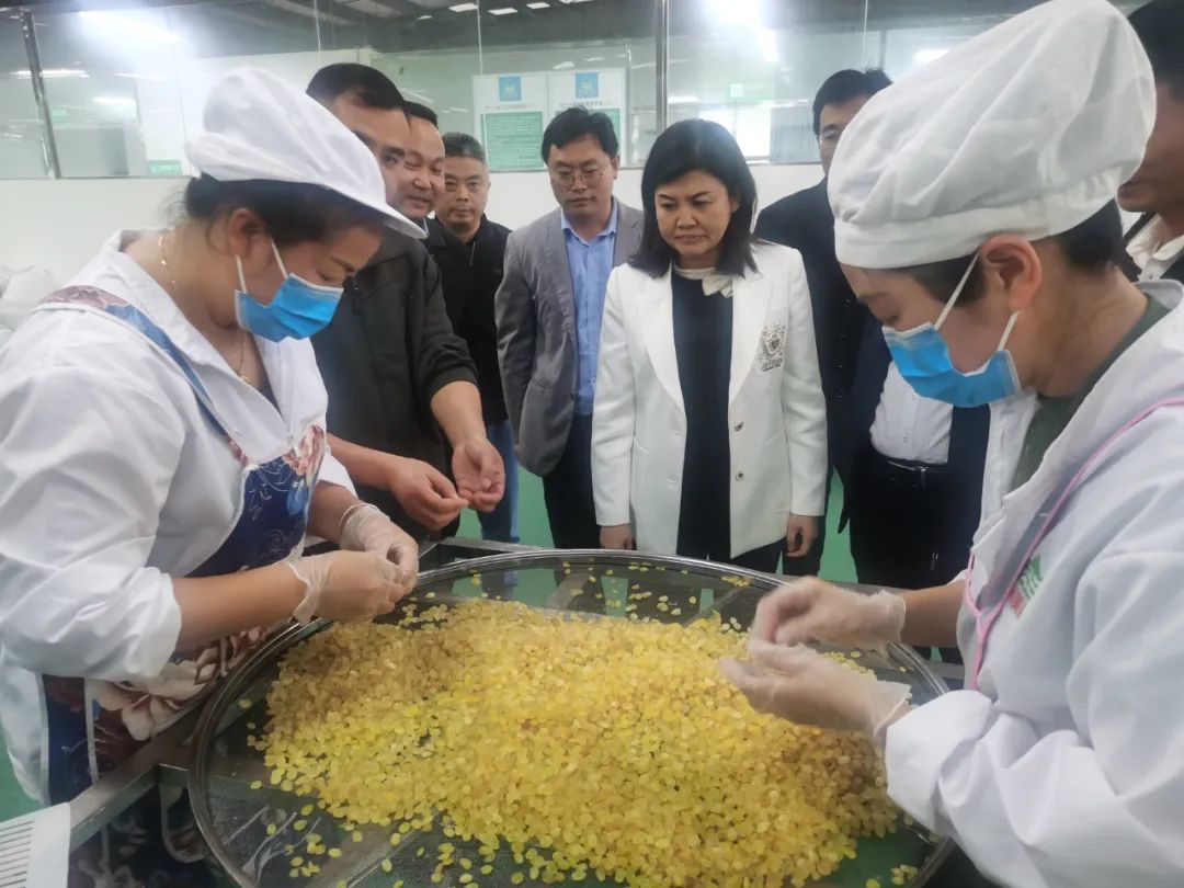 杨光红到毕节市调研食品安全标准和营养健康工作