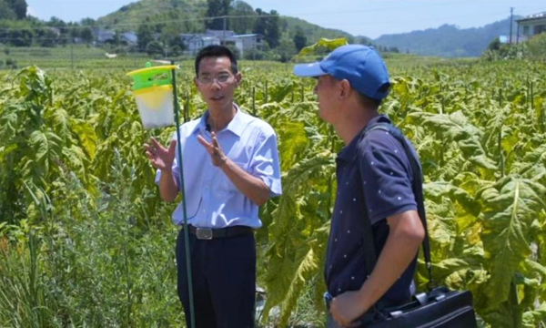 黔进先锋   贵在行动系列报道之六