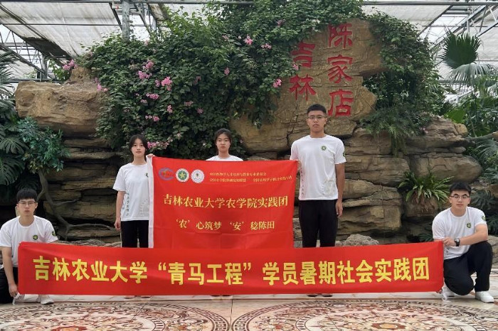 智耕乡野兴新貌，共绘振兴富画图——吉林农业大学“‘农’心筑梦·‘安’稔陈田”实践小队