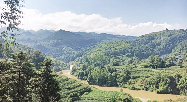 乡村振兴贵州系列报道之一百一十四