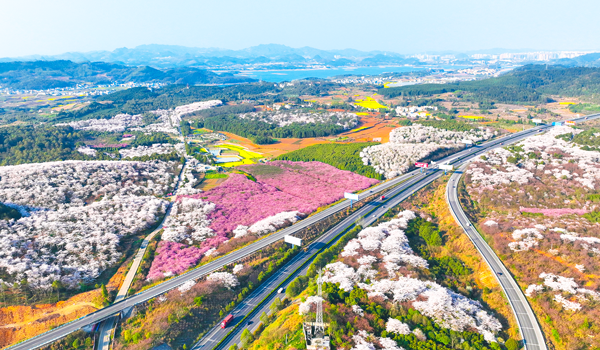 多彩贵州 爽爽贵阳 湖城清镇系列报道之二十四