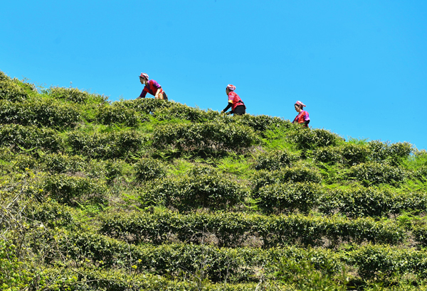 “贵州·村影”IP正式启幕