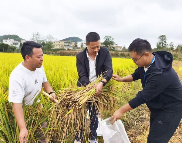 多彩贵州 爽爽贵阳 湖城清镇系列报道之四十二