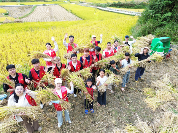 乡村振兴贵州系列报道之一百一十二
